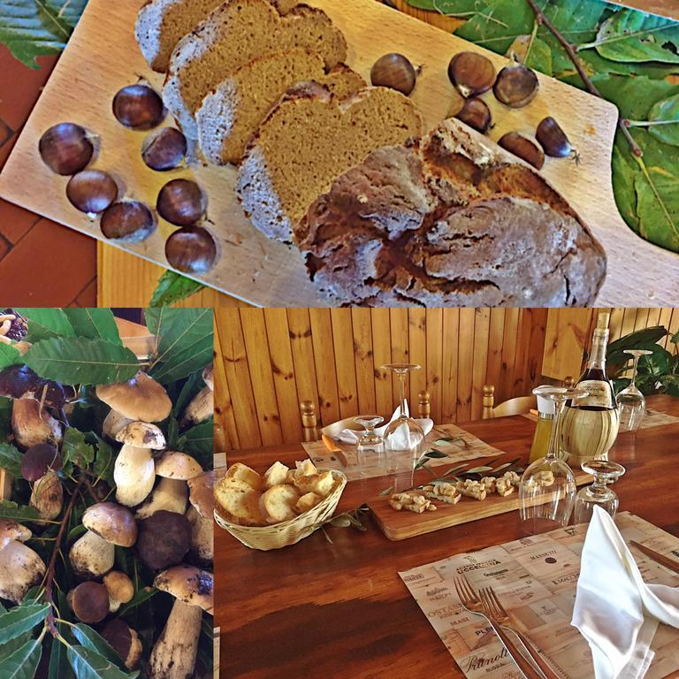 피테글리오 Agriturismo Bicocchi 빌라 외부 사진